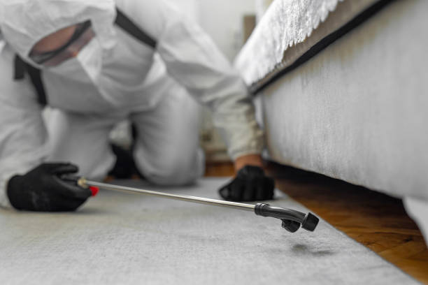 Professional Ant Control technician working in Lake Park, GA